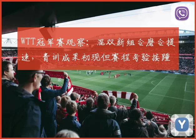 WTT冠军赛观察：混双新组合磨合提速，青训成果初现但赛程考验接踵而至