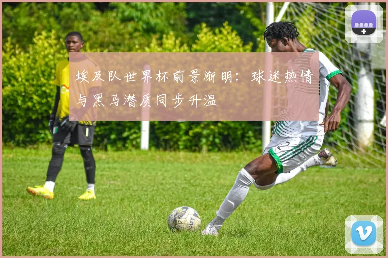 埃及队世界杯前景渐明：球迷热情与黑马潜质同步升温