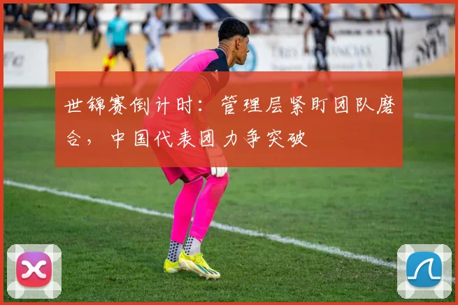 世锦赛倒计时：管理层紧盯团队磨合，中国代表团力争突破